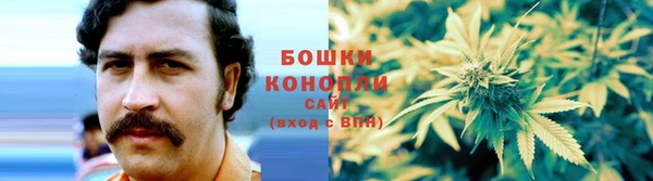 2c-b Богородицк