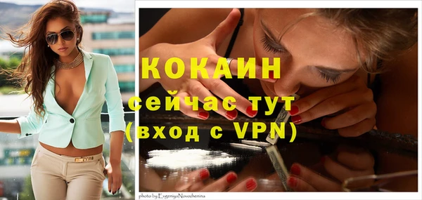 2c-b Богородицк
