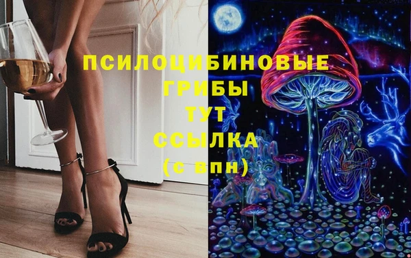 2c-b Богородицк