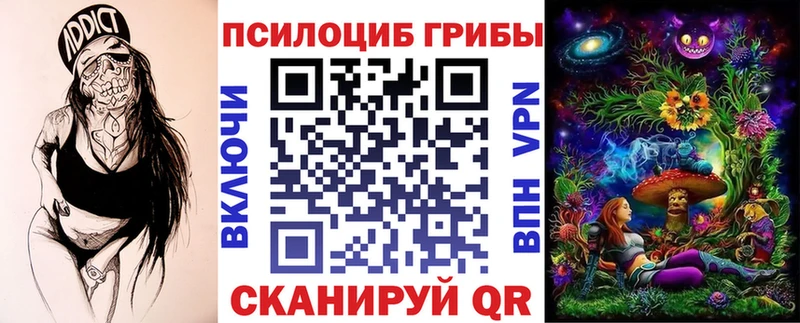 где продают   Острогожск  Галлюциногенные грибы прущие грибы 